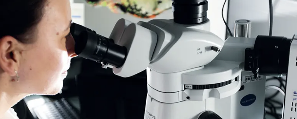 Sclérose,en plaques background